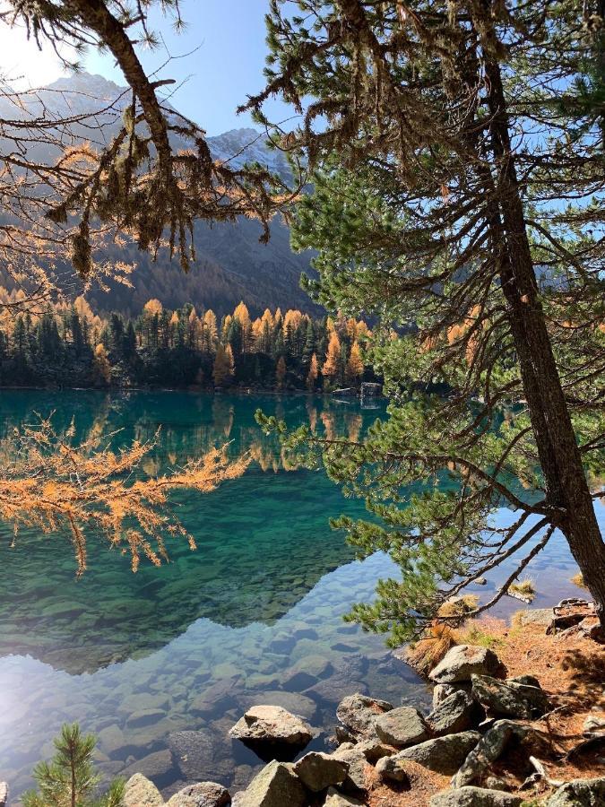 B&B Cuore Verde Poschiavo Eksteriør bilde
