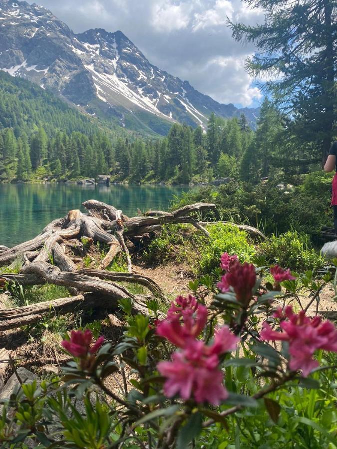 B&B Cuore Verde Poschiavo Eksteriør bilde